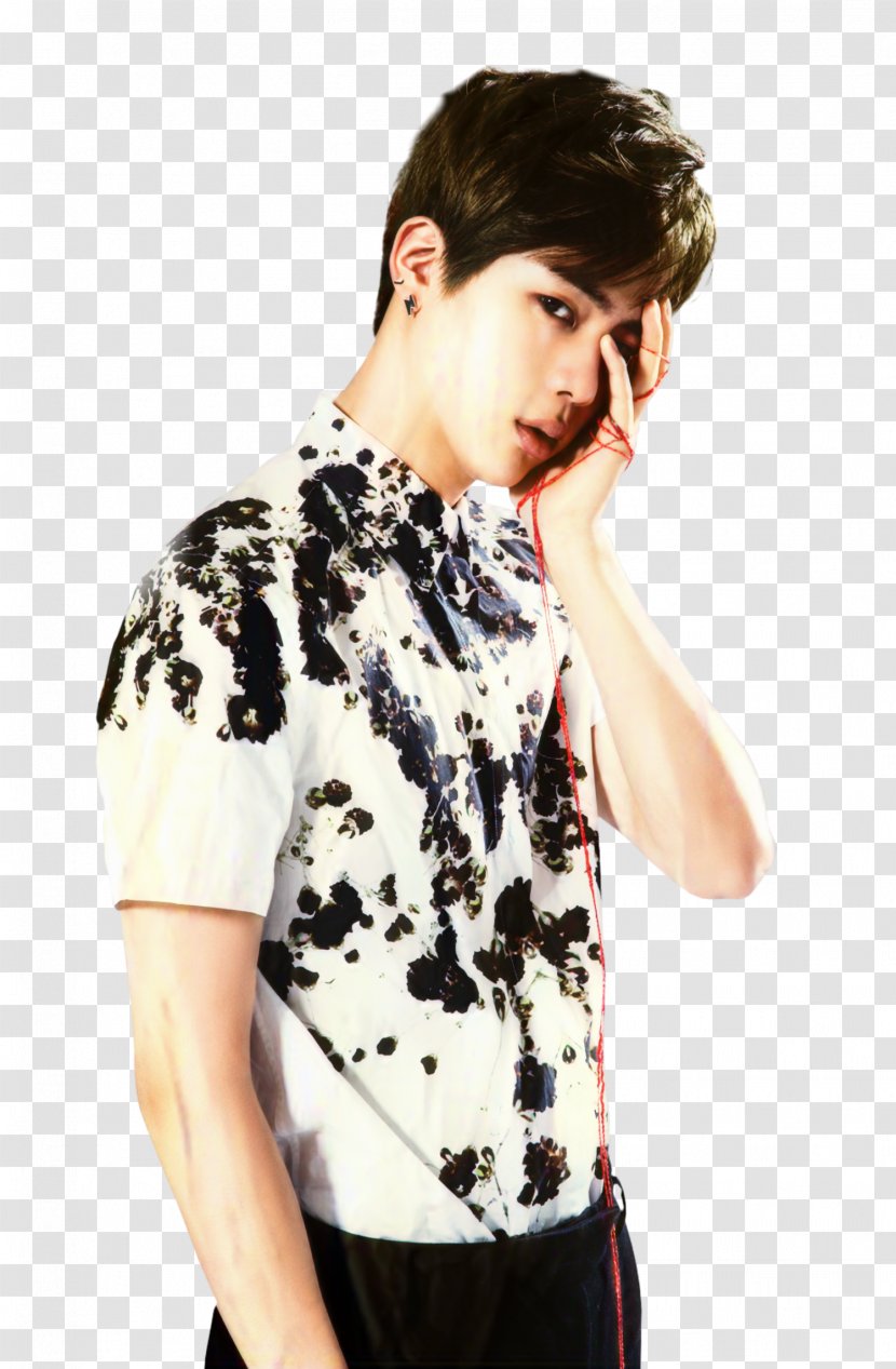 Jin BTS T-shirt Gargamel Epiphany - Blouse Transparent PNG