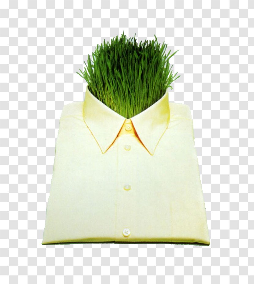 Shirt Suit Clothing Transparent PNG