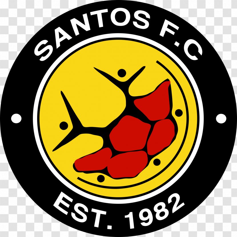 Santos F.C. Cape Town Mamelodi Sundowns Premier Soccer League FC - Baroka Fc - Football Transparent PNG