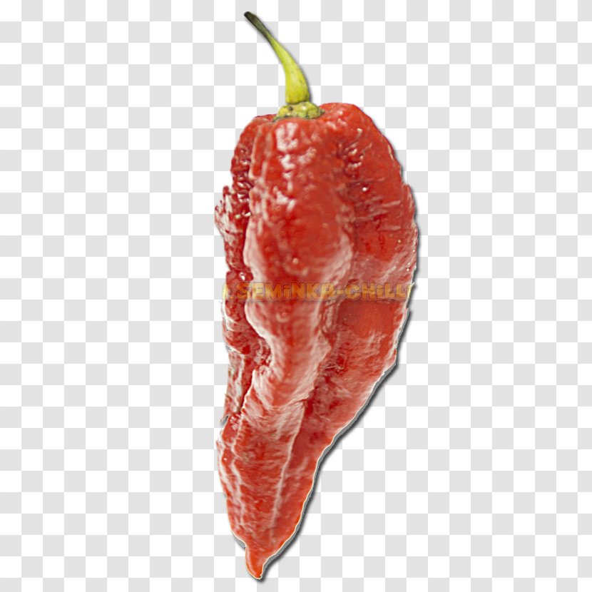Chili Pepper Infinity Trinidad Moruga Scorpion Butch T Naga Morich - Silhouette - Bhut Jolokia Transparent PNG