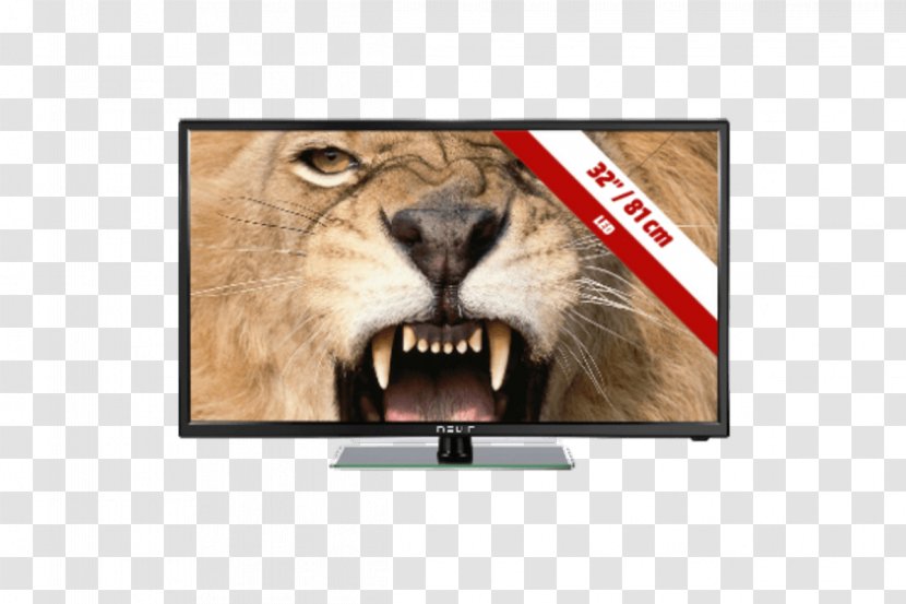 TV NEVIR 20 12V USB Black LED-backlit LCD HD Ready HDMI High-definition Television - Lion Transparent PNG