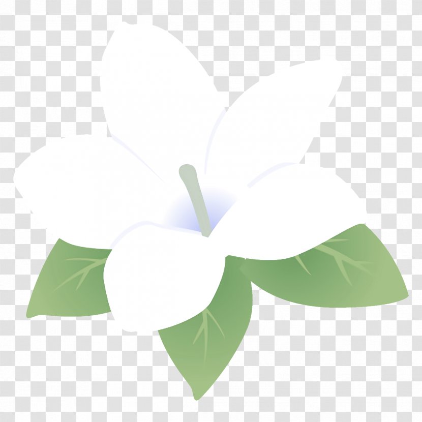 Green Leaf White Plant Flower - Logo Petal Transparent PNG