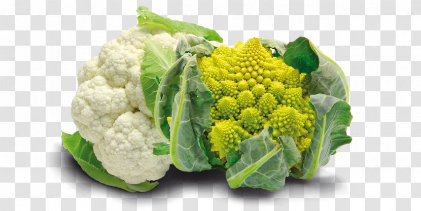 Romanesco Broccoli Cauliflower Broccoflower Vegetable - Cabbage Transparent PNG