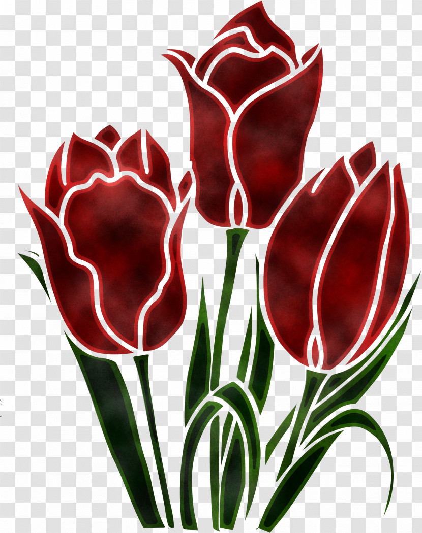 Tulip Flower Plant Petal Pedicel Transparent PNG