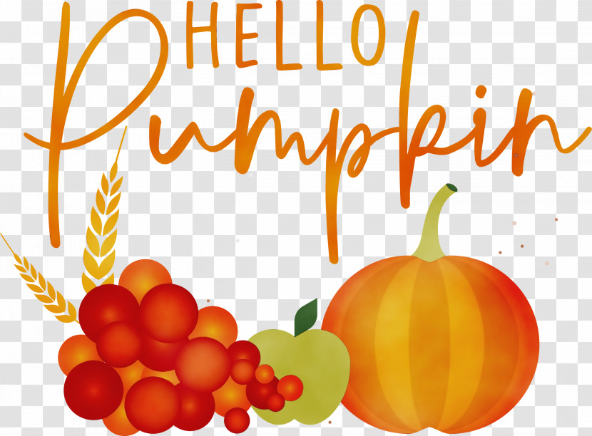 Pumpkin Transparent PNG