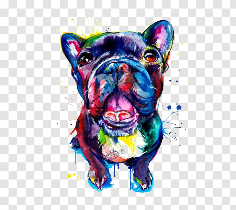French Bulldog Pug Pit Bull Pet - Non Sporting Group - Dog Transparent PNG
