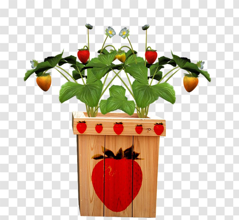 Fruit Pot Flowerpot Strawberry - Container - Pots Transparent PNG