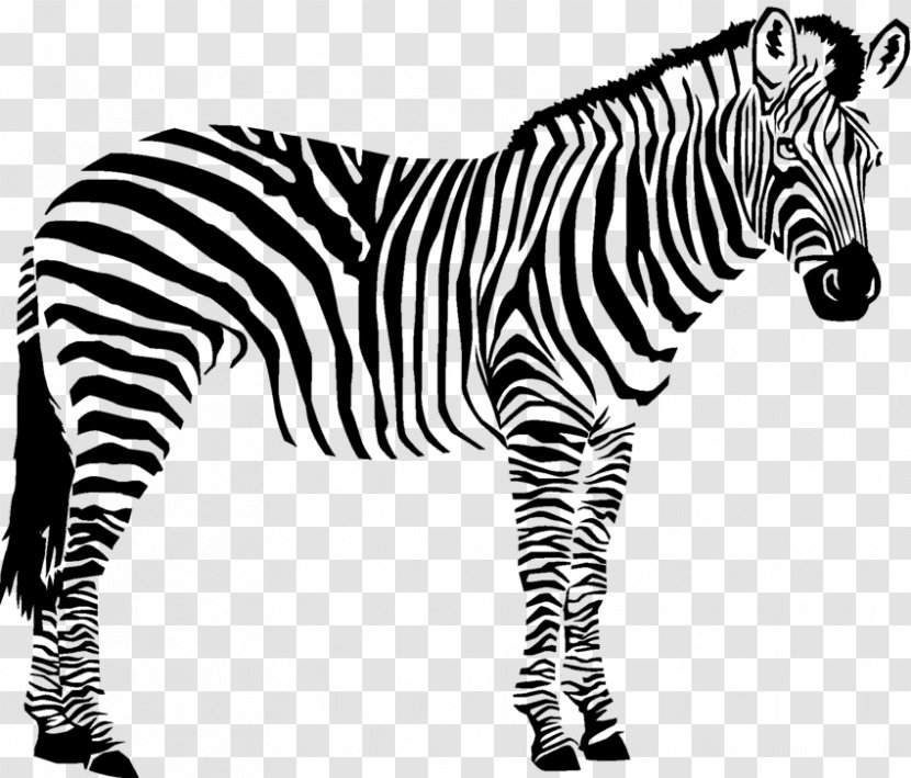 Quagga Animals Black And White Wildlife - Zebra Transparent PNG