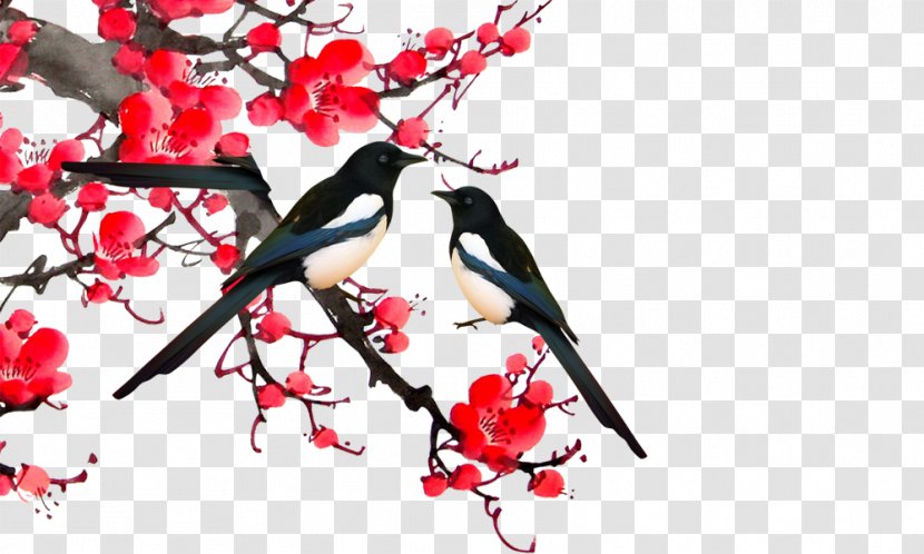 Eurasian Magpie - Color - Plum Branches Transparent PNG