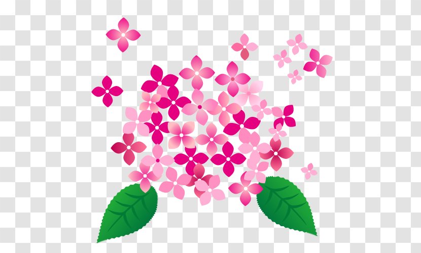 Pink Hydrangea Flower. - Umbrella - Leaf Transparent PNG