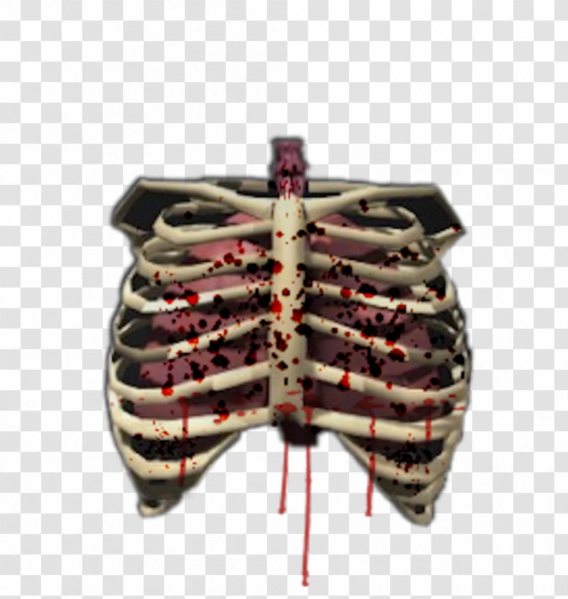 Human Skeleton Bone Rib Cage Body - Cartoon Transparent PNG