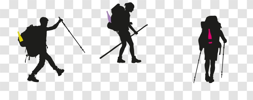 Wine Background - Soil - Ski Equipment Nordic Walking Transparent PNG