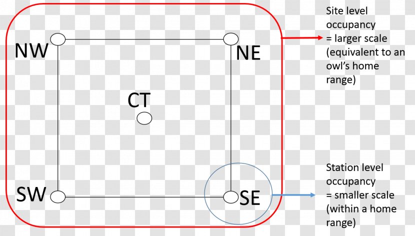 Document Line Angle - Text Transparent PNG