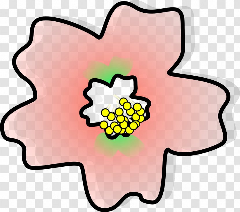 Cherry Blossom Clip Art - Pink Transparent PNG