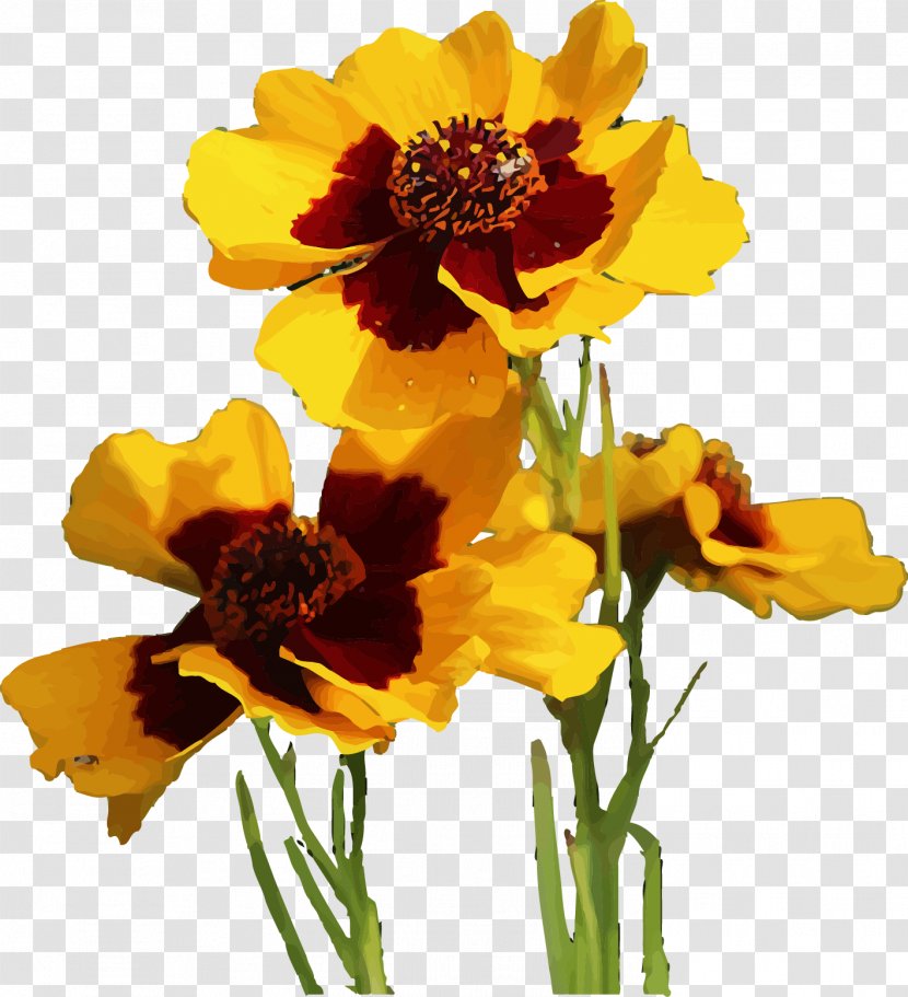 Flowering Tea Floral Design Chrysanthemum Xd7grandiflorum - Cut Flowers - Kunlun Snow Daisy Vector Material Transparent PNG