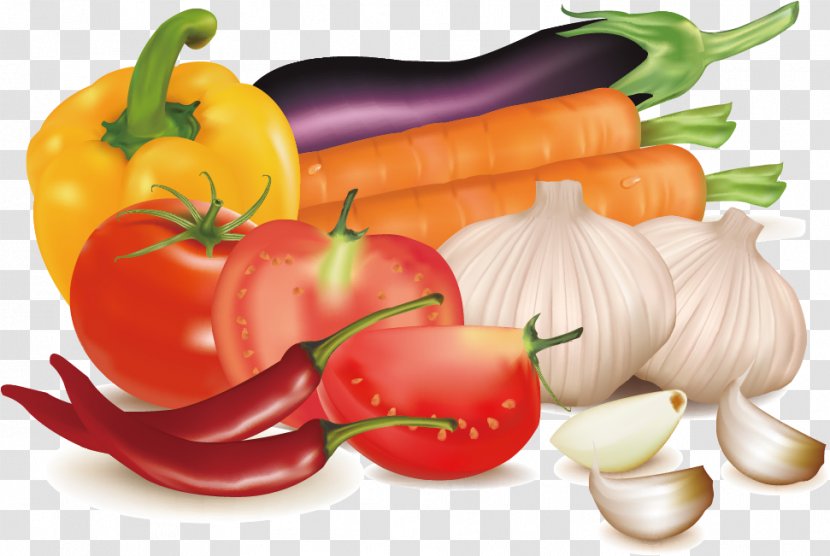 Spice Stock Food Illustration - Hand-painted Vegetable Transparent PNG