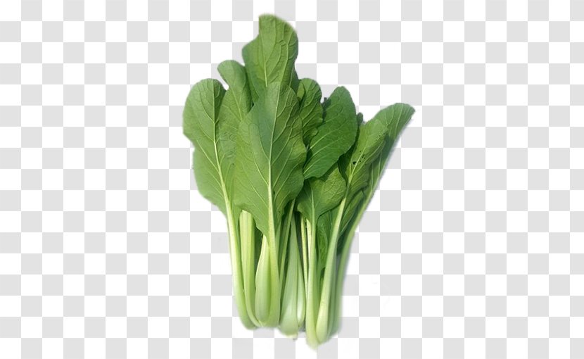 Green Leaf Background - Vegetable - Herb Celtuce Transparent PNG