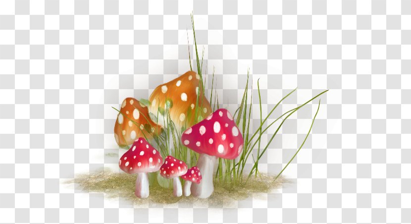 Mushroom Idea - Fungus - Champignon Transparent PNG