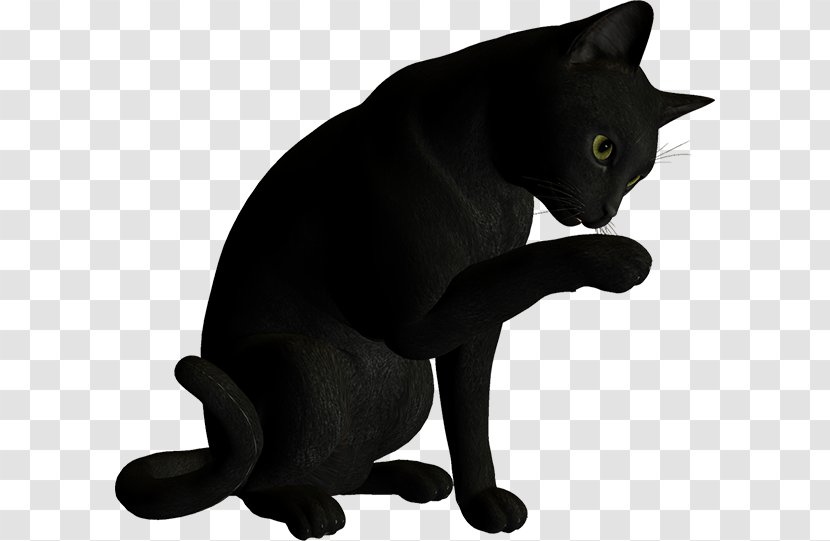 Sing Korat Whiskers Domestic Short-haired Cat Oyaji - Cartoon - WATERCOLOUR CAT Transparent PNG