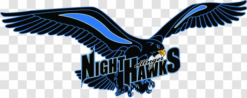 Nighthawks KNDC Hettinger Public Elementary Scranton - North Dakota - 8th March Transparent PNG