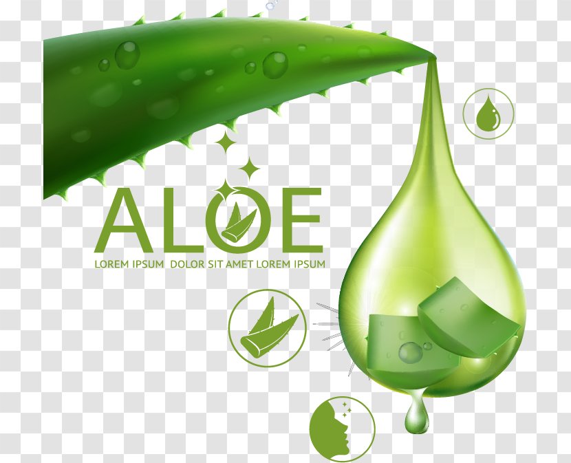 Aloe Vera Euclidean Vector Skin Care - Lipstick - Ad Element Transparent PNG