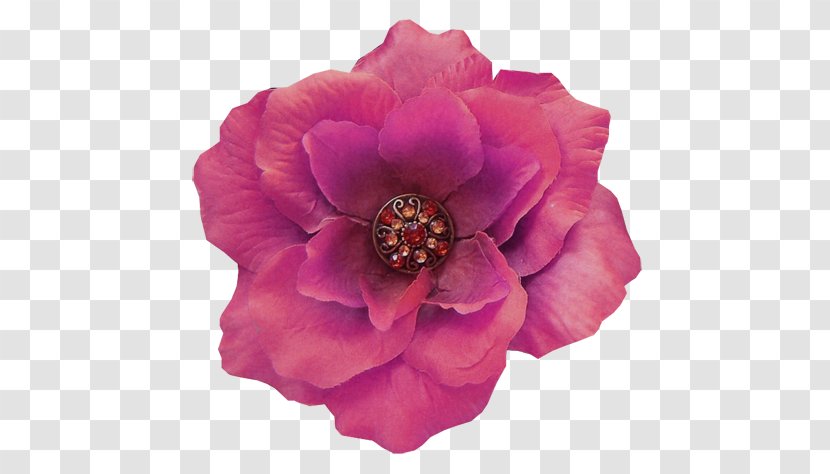 Centifolia Roses Cut Flowers Peony Petal Pink M Transparent PNG