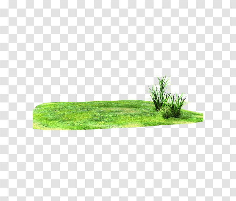 Grassland Clip Art - Farm Land Transparent PNG