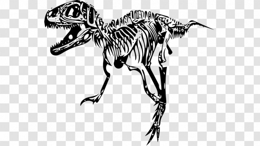 Tyrannosaurus Velociraptor Giganotosaurus Skeleton Dinosaur Size - Mythical Creature Transparent PNG