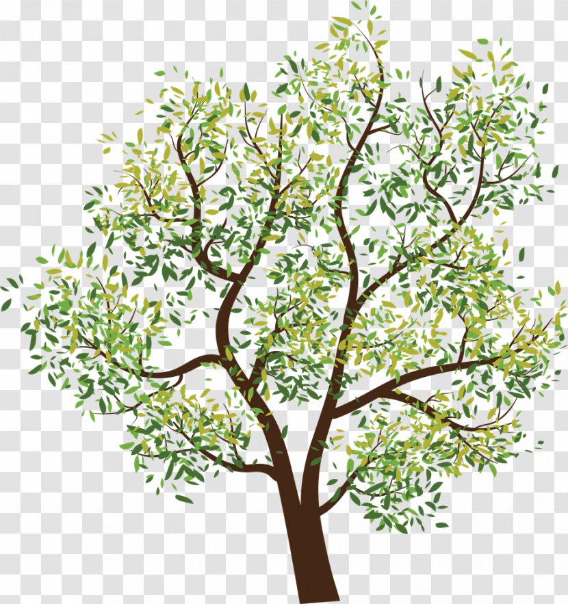 Tree Clip Art - Clipping Path - Fir-tree Transparent PNG