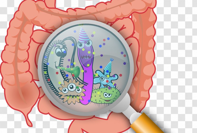 Traveler's Diarrhea Irritable Bowel Syndrome Gastrointestinal Disease - Heart - Abdominal Pain Cartoon Transparent PNG