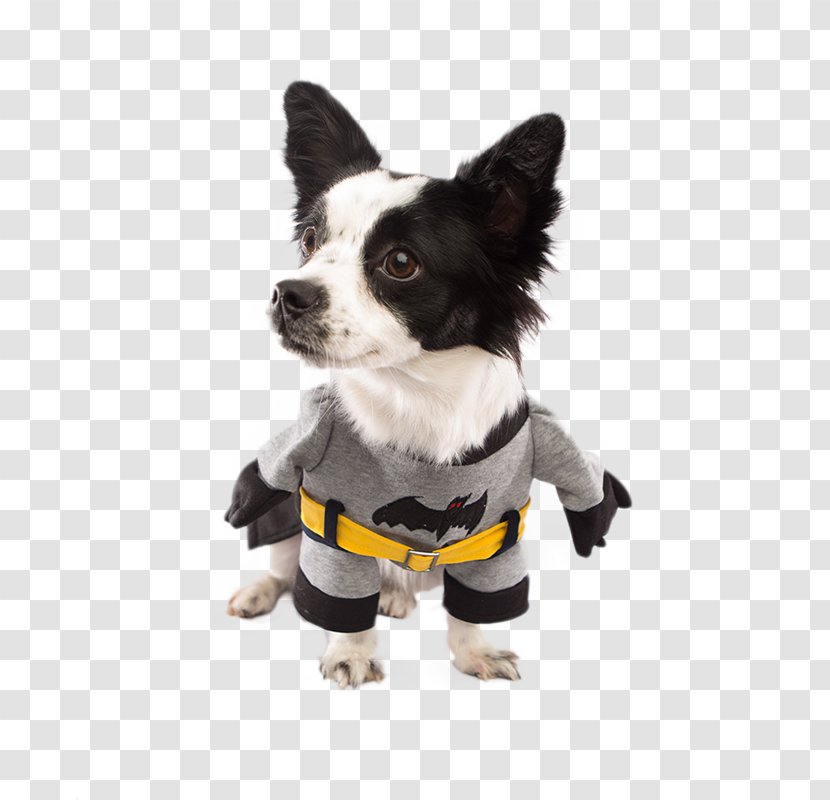 Dog Breed Puppy Costume Pet - Carnivoran Transparent PNG