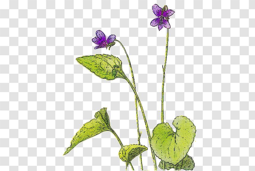 Violet Clip Art - Leaf - Picture Transparent PNG