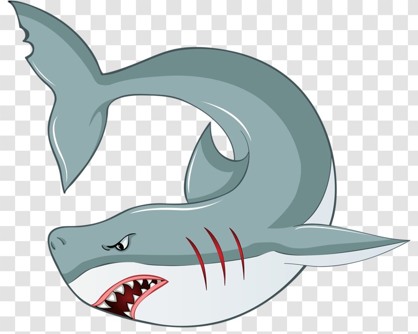 Great White Shark Fish Royalty-free - Royaltyfree - Hand Drawn Transparent PNG