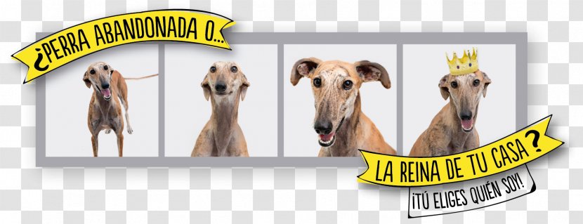 Dog Breed Italian Greyhound Whippet Logo - VAINILLA Transparent PNG