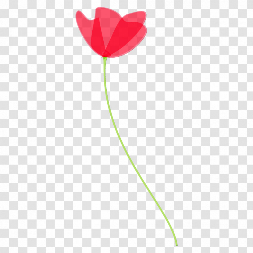 Tulip Flower Plant Plant Stem Pedicel Transparent PNG