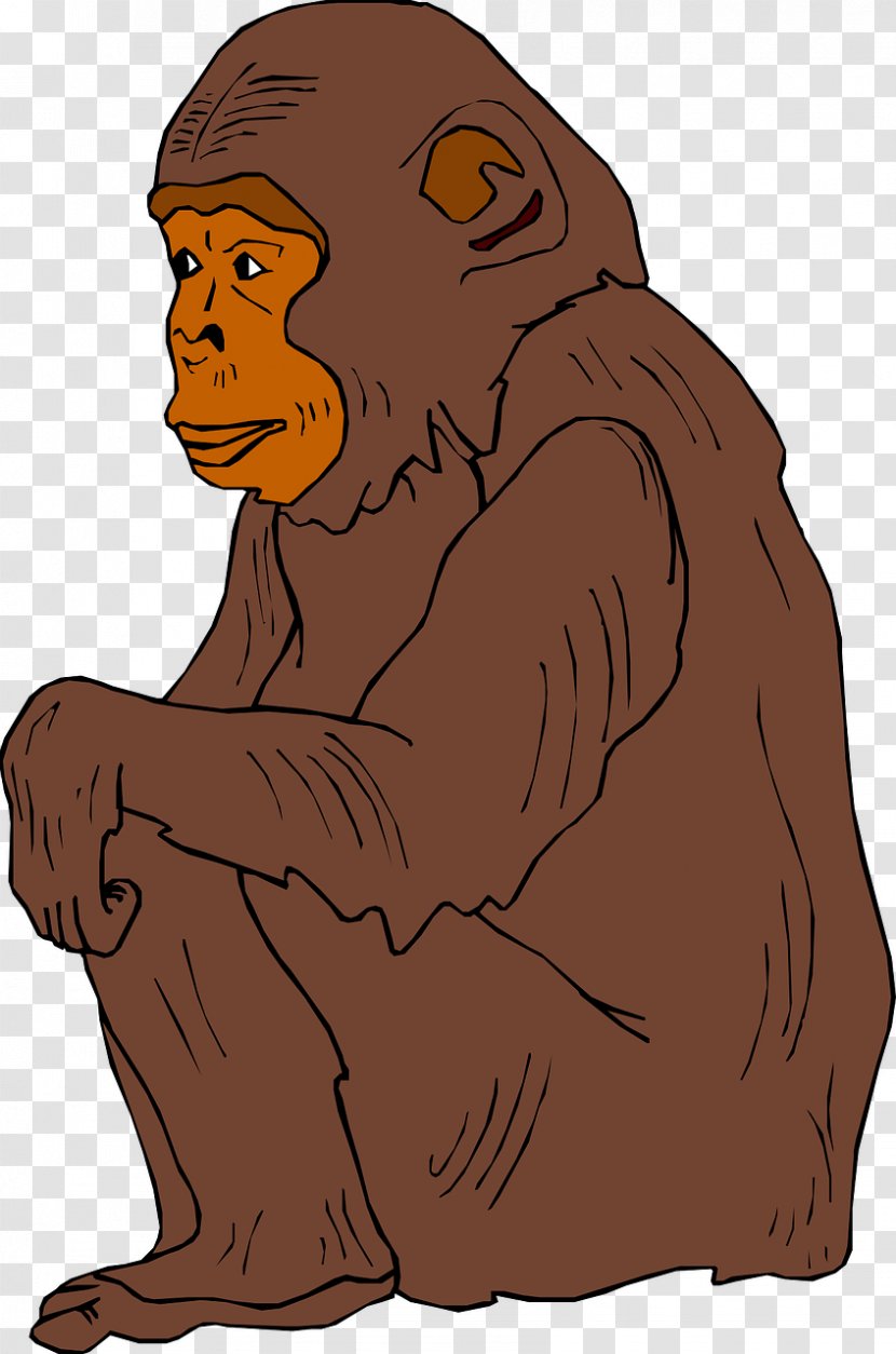 Chimpanzee Ape Clip Art - Carnivoran - Brown Orangutan Transparent PNG