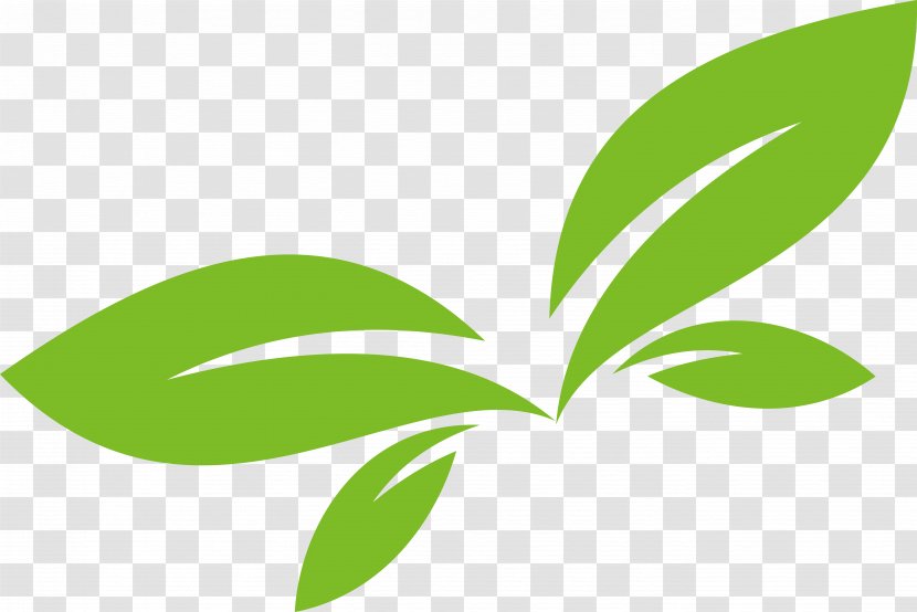 Leaf Logo Euclidean Vector - Green - Design Transparent PNG