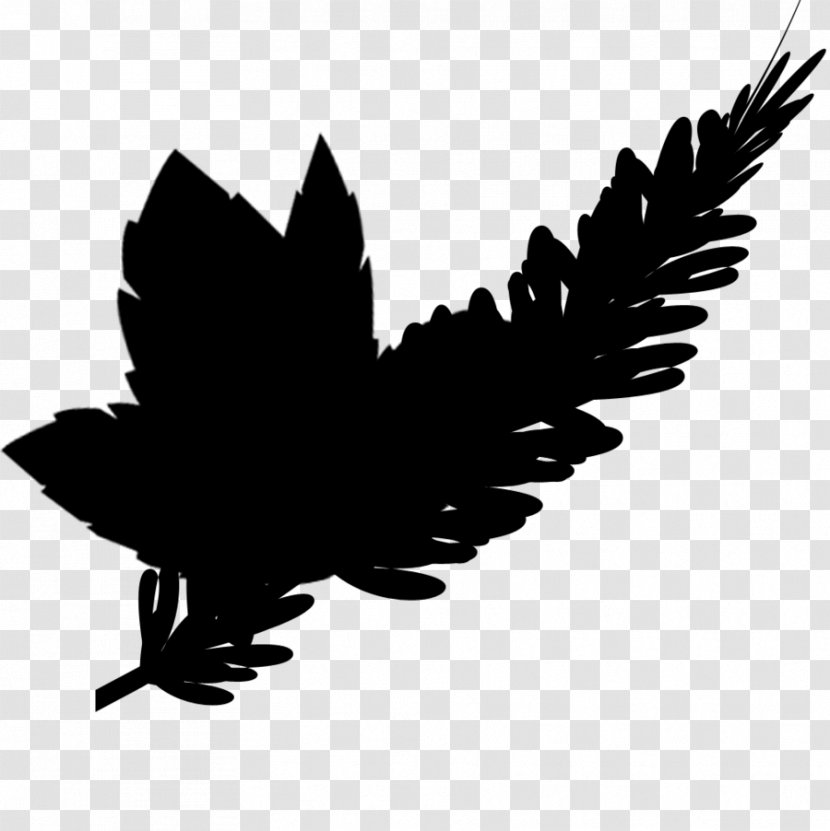 Beak Bird Of Prey Feather Font - Logo Transparent PNG
