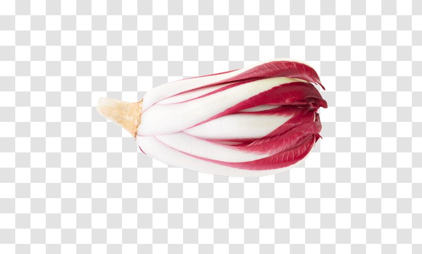 Radicchio Rosso Di Treviso Chicory Stock Photography Vegetable - Puntarelle Transparent PNG