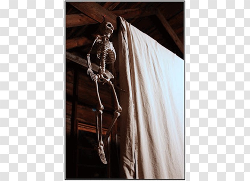 Shoulder Outerwear Skeleton Transparent PNG
