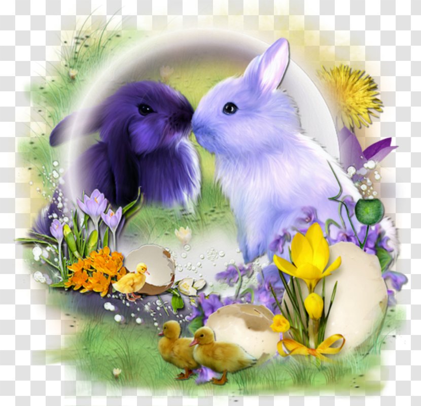 Domestic Rabbit Easter Bunny Transparent PNG