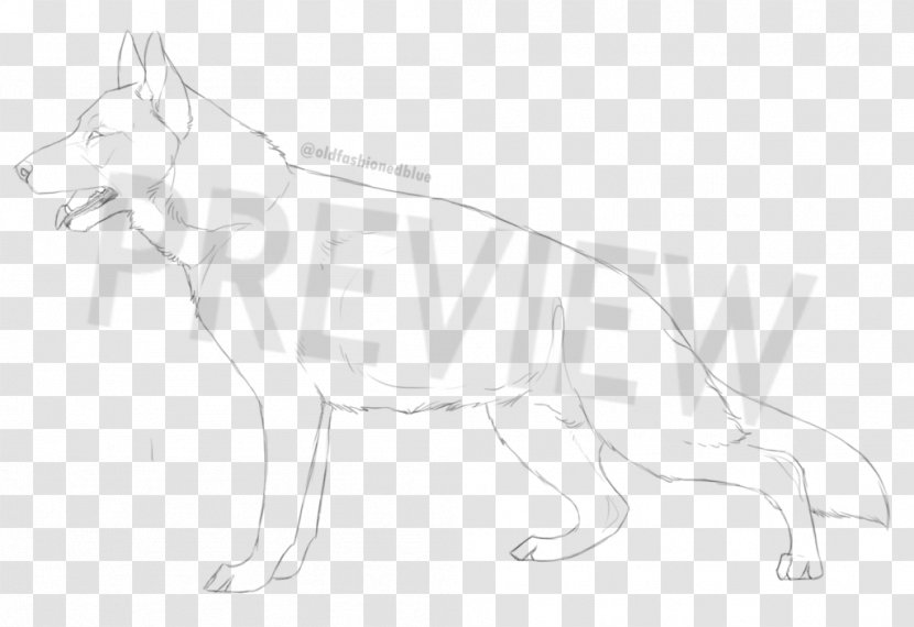Dog Breed Line Art Sketch - Wildlife Transparent PNG