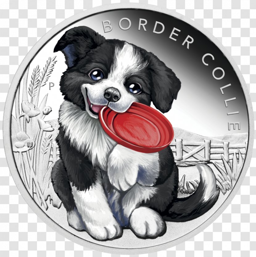 Border Collie Rough Perth Mint Beagle Puppy - Snout Transparent PNG