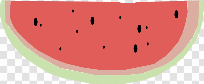 Watermelon Cucurbitaceae Flowering Plant Fruit - Melon Transparent PNG