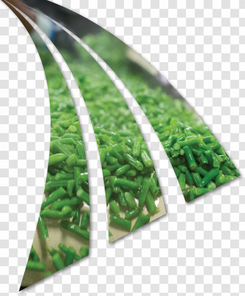 Burnette Foods Inc Green Bean Vegetable - Hair - Beans Vejitble Transparent PNG