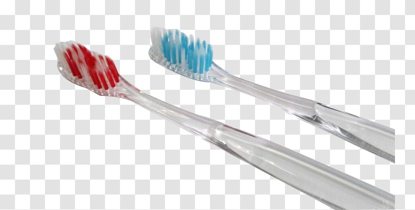 Tanu Enterprises Toothbrush CHENNAI ID Disposable Product - Shaving - Wholesale Transparent PNG