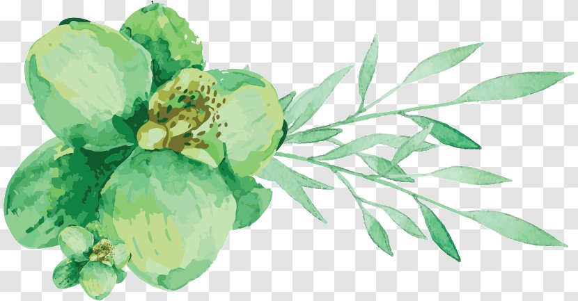 Watercolor Painting Engadine Leaf Vegetable Cut Flowers - Flowering Plant - Greenery Transparent PNG