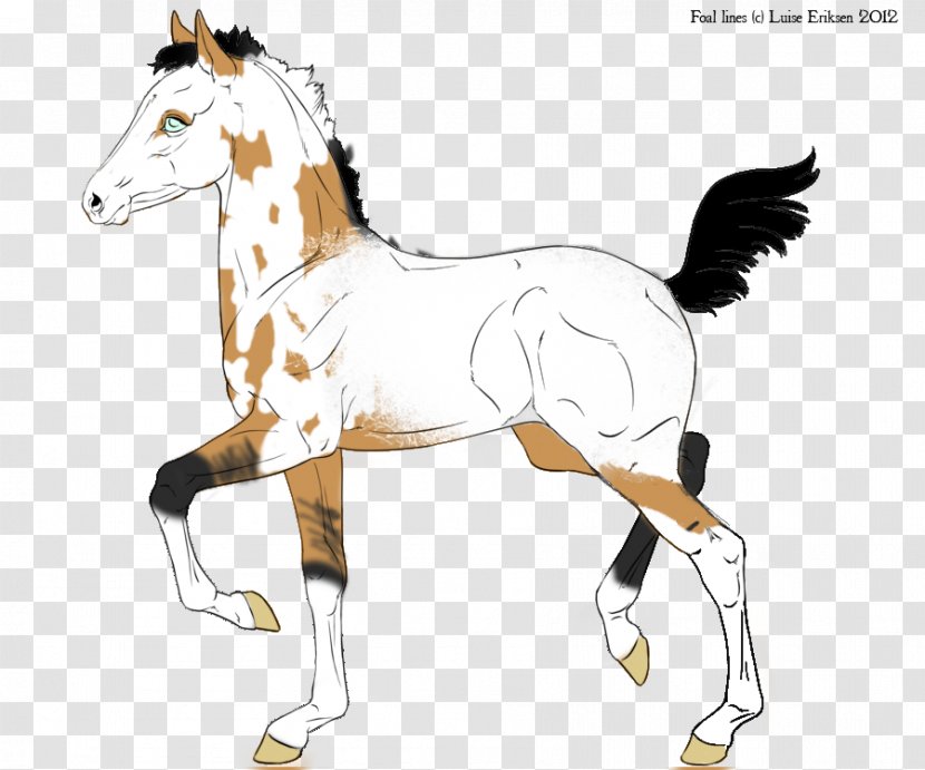 Foal Stallion Pony Colt Mustang - Horse Tack - Cordon Bleu Transparent PNG