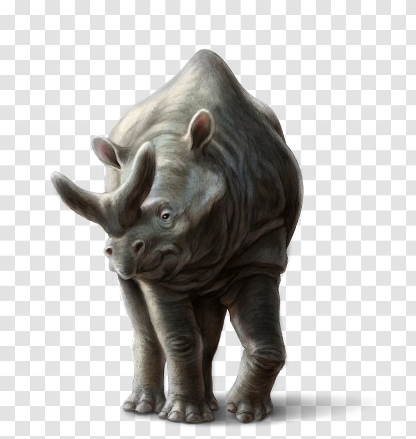 Rhinoceros Megacerops Noah's Ark Animal Elephant - Horse - Real Pictures Noah Transparent PNG