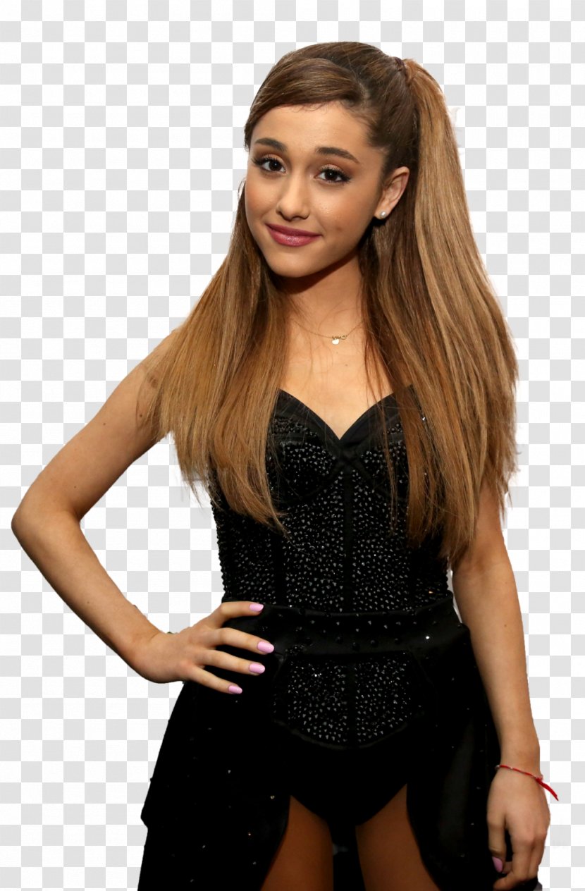Ariana Grande United States Jingle Ball Tour 2016 KIIS-FM Hairstyle - Silhouette Transparent PNG